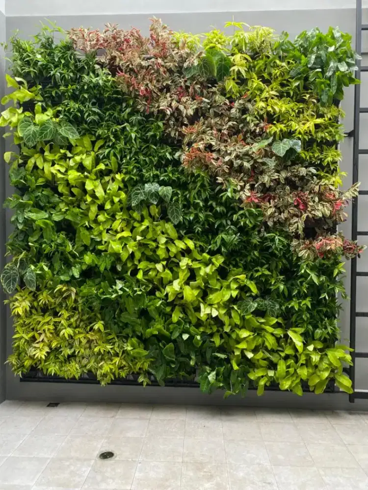 Pasang taman vertikal garden