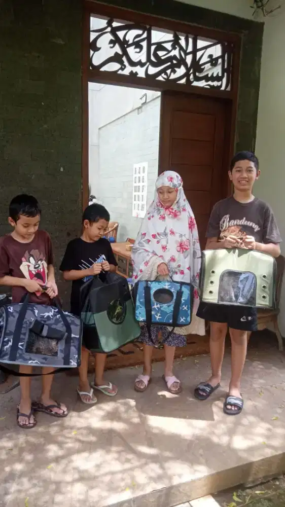 Penitipan & grooming kucing depok terpercaya