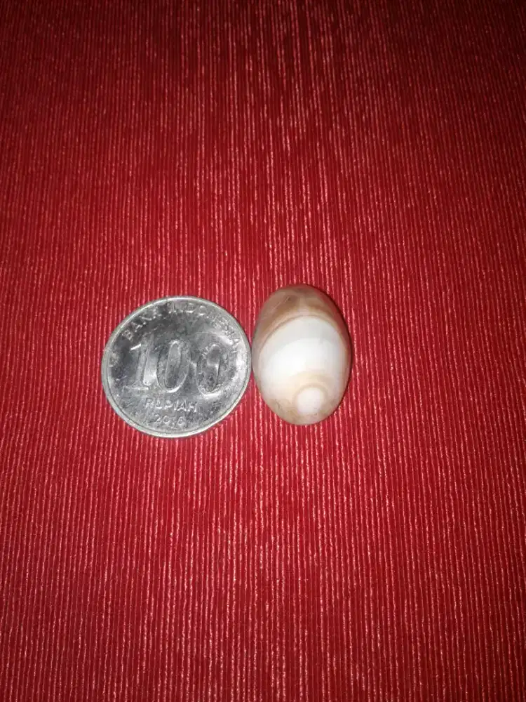 Batu mata ada junjung derajatnya