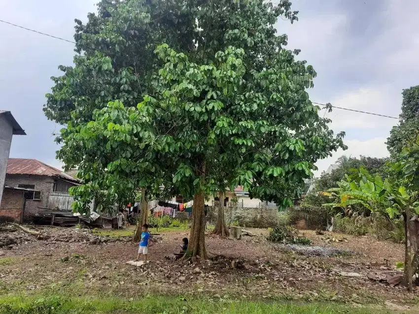 TANAH KOSONG - DIJUAL CEPAT