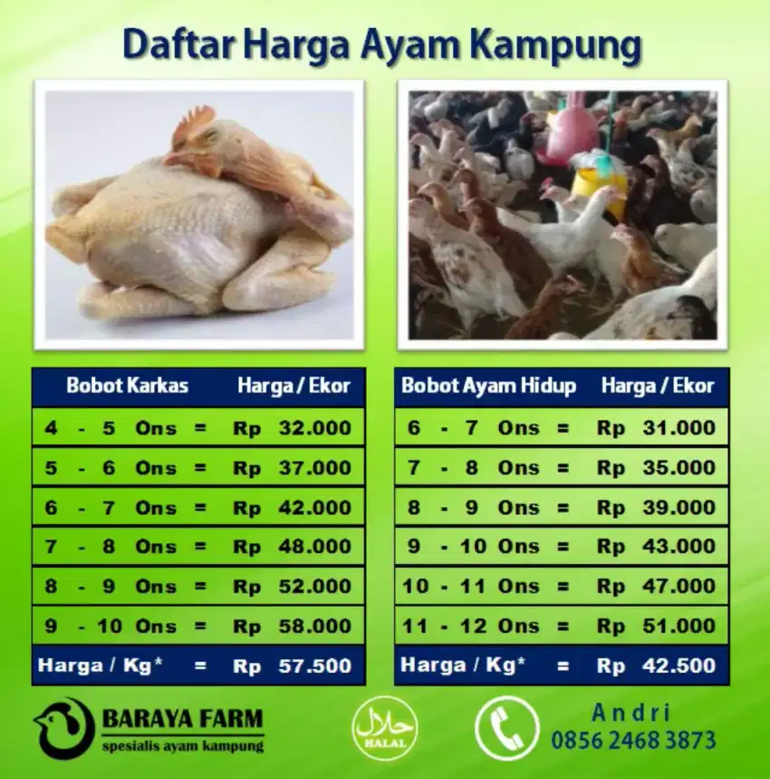 Karkas ayam kampung