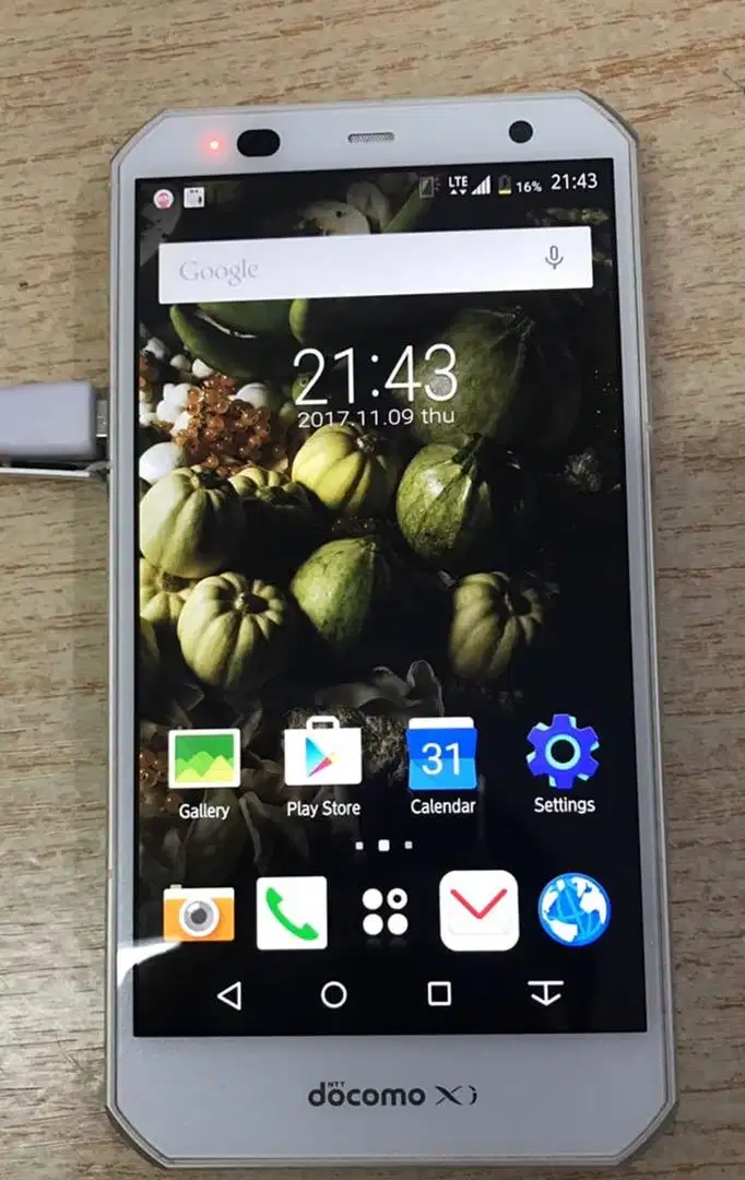 Fujitsu Arrows F-02G