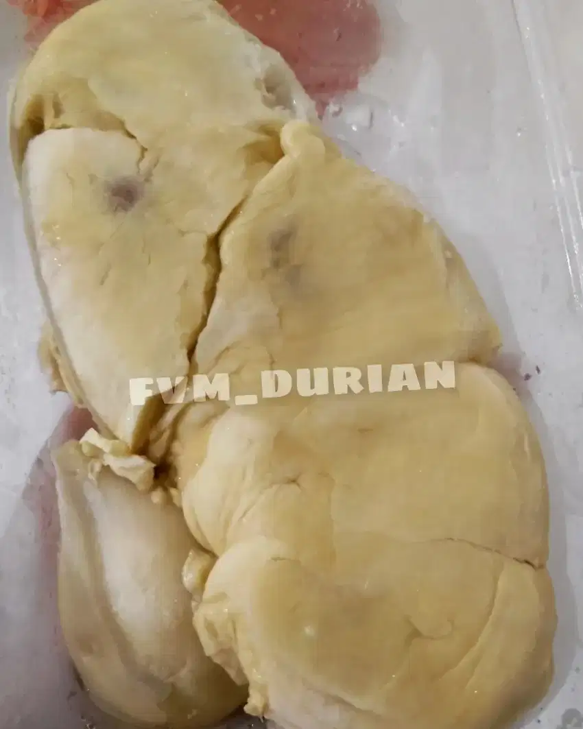 durian montong lezat