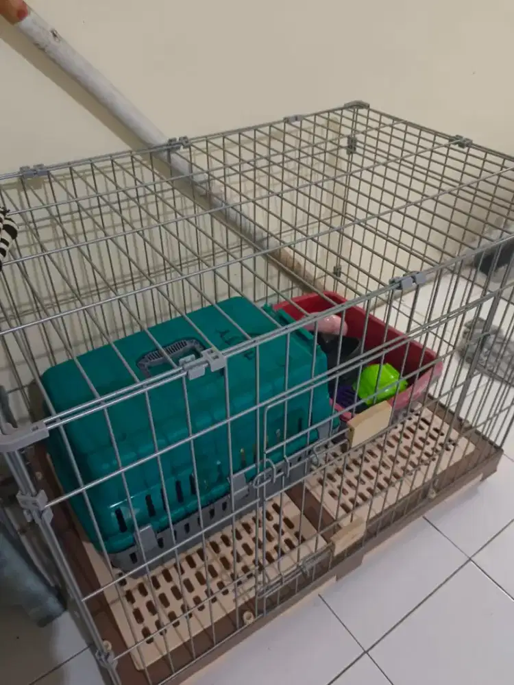 Kandang Kucing Besar Big Size
