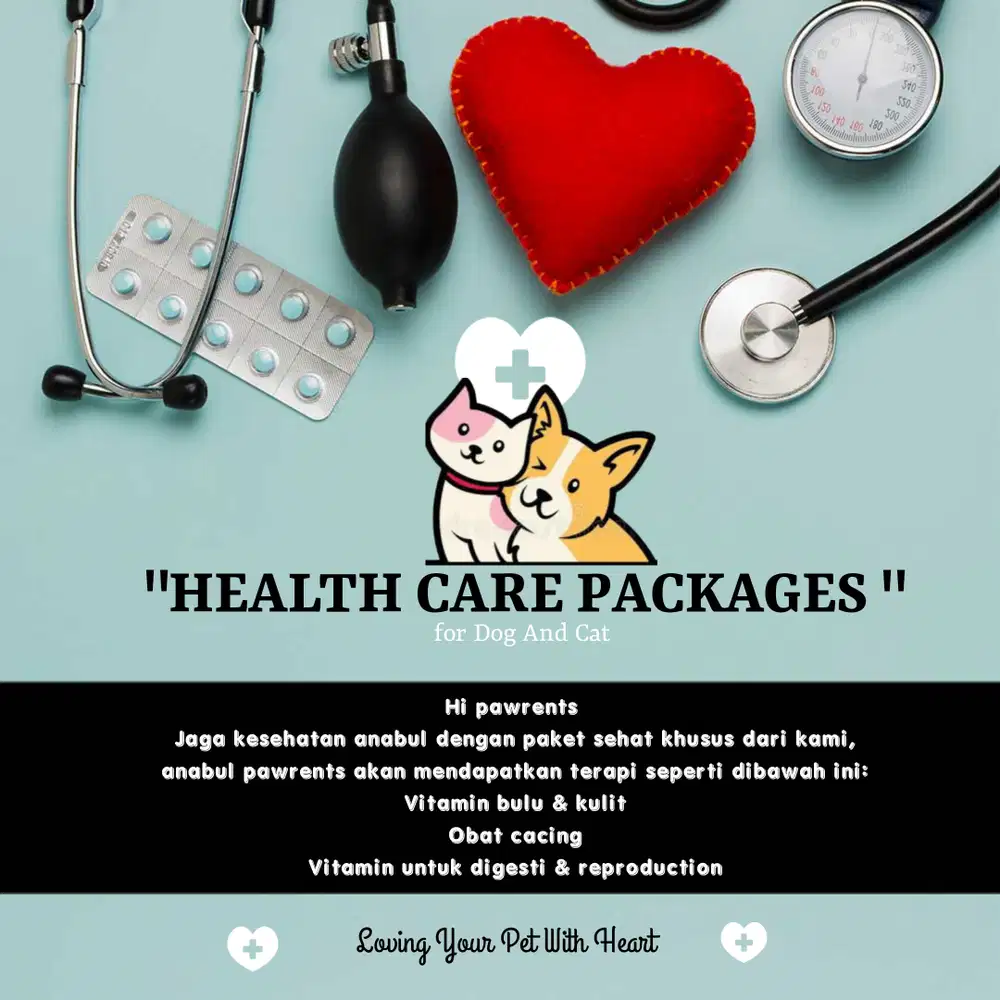 penitipan kucing mulyosari