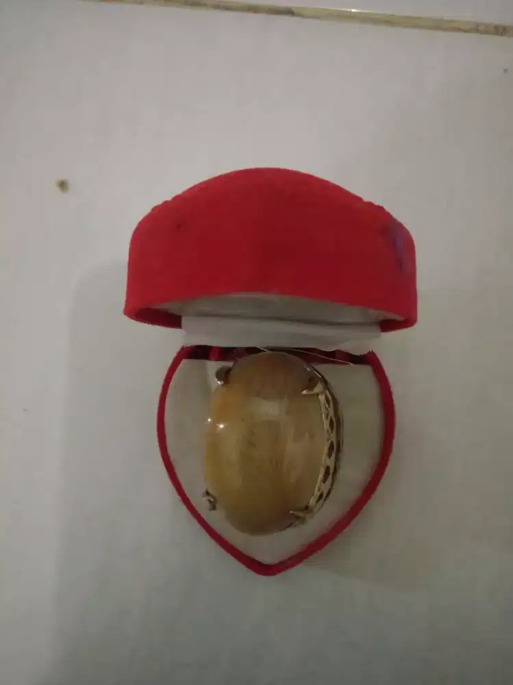 Dijual batu akik fosil