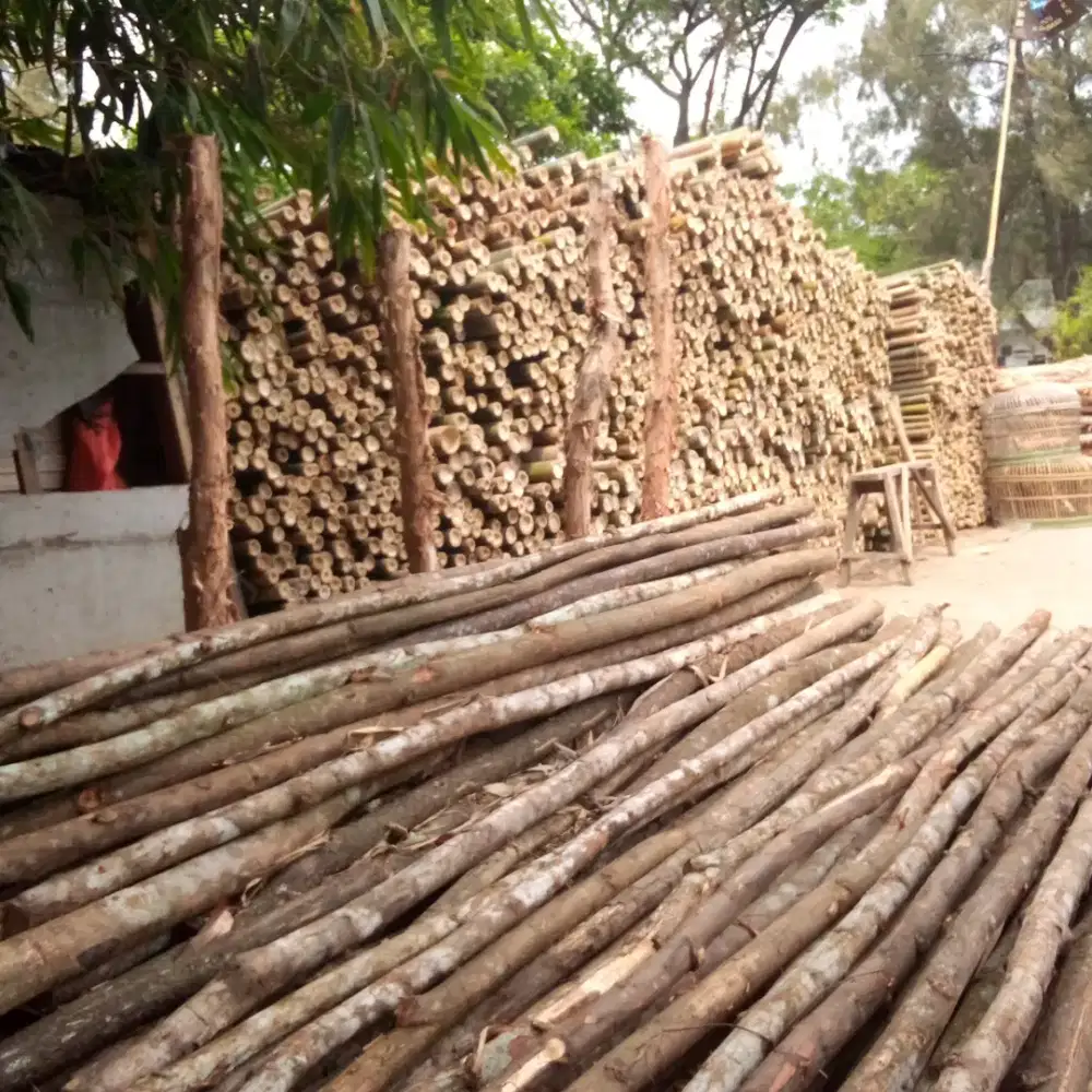 Jual Dolken,bambu,kaso dll