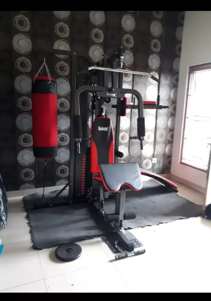 Big home gym samsak 3sisi speed ball