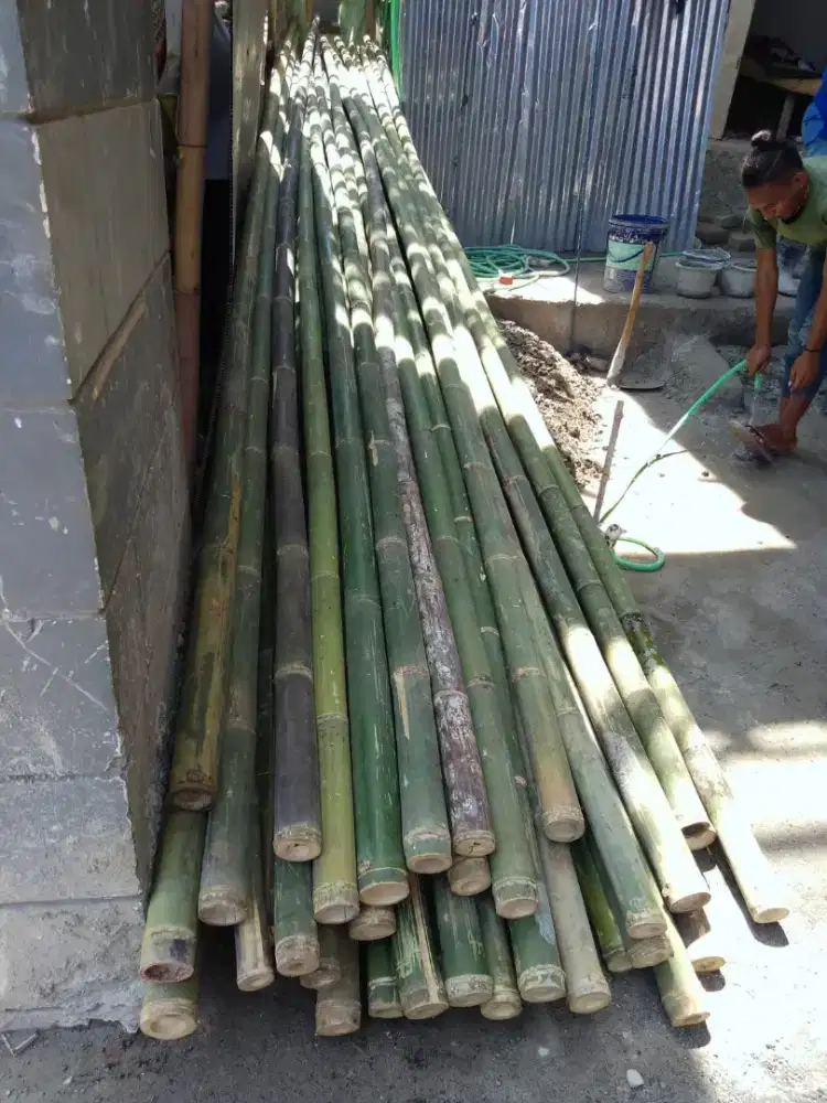Jual bambu steger proyek & kaso