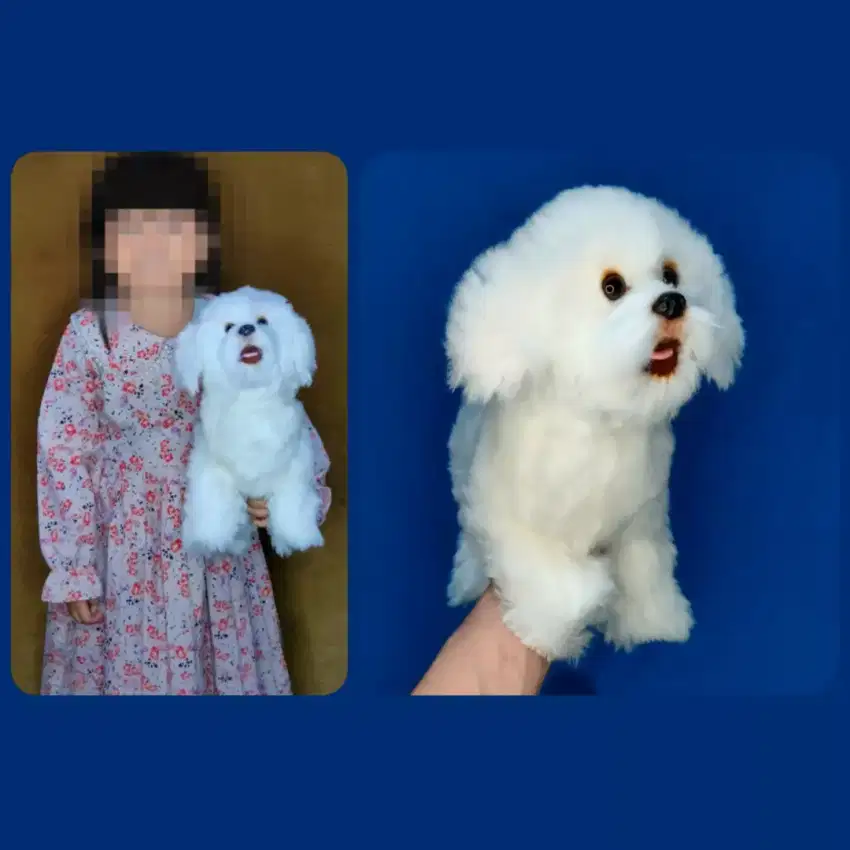 Boneka Anjing Minipom Import Jepang Original Bichon Puppy Maltese