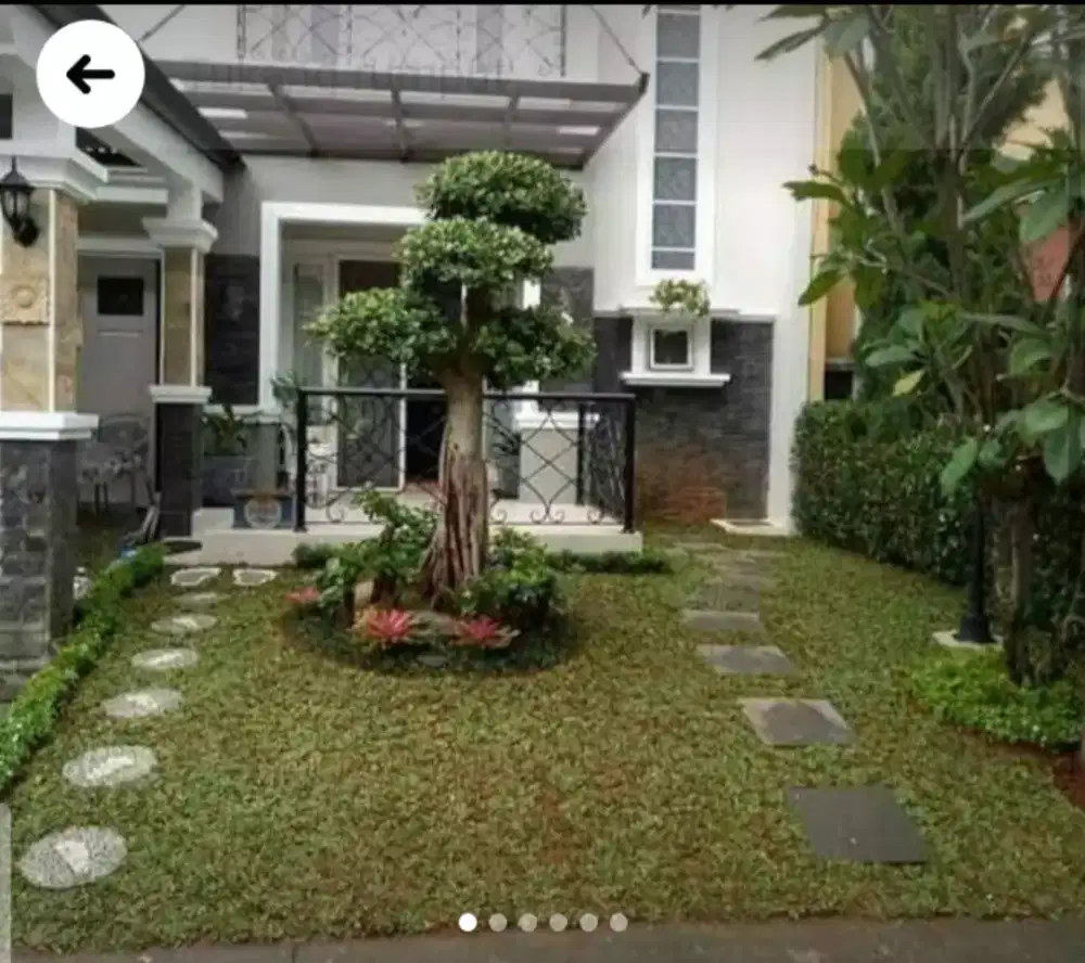 Tukang taman mini malis_Jual pohon airis jual rumput