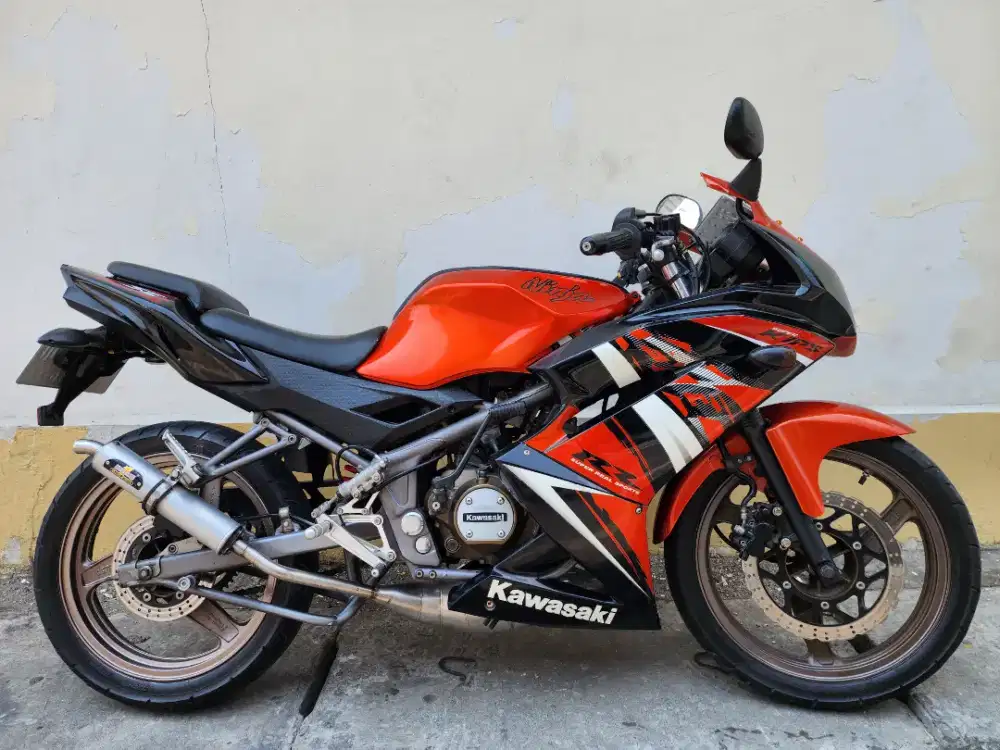 Kawasaki ninja 150 store rr 2014