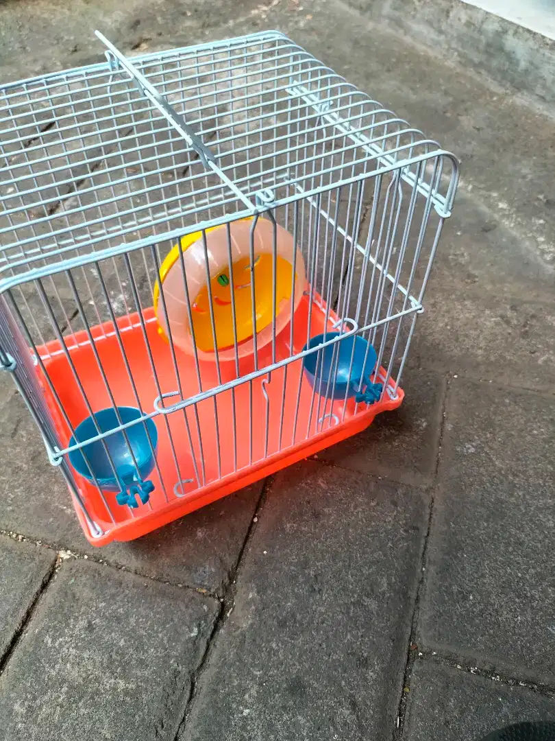 Kandang hamster murah