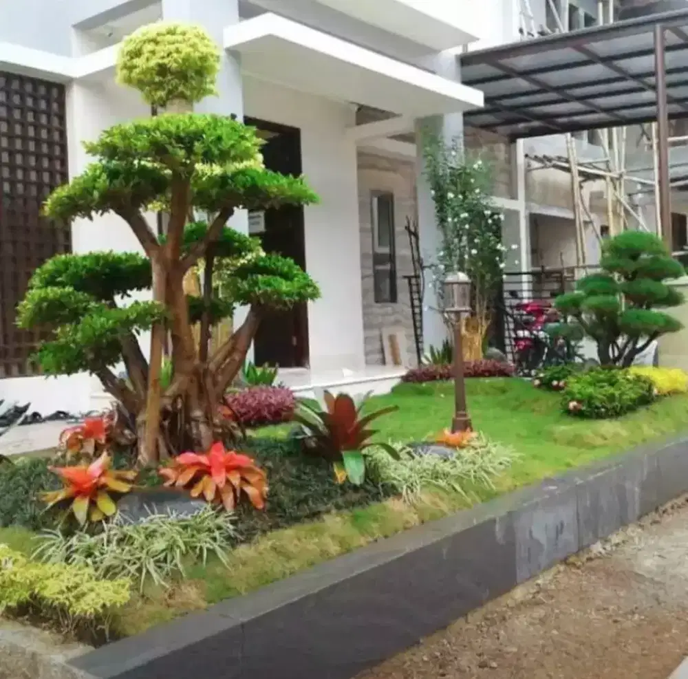 tukang taman batu sikat ampyangan lantai, Surabaya, Sidoarjo, Gresik