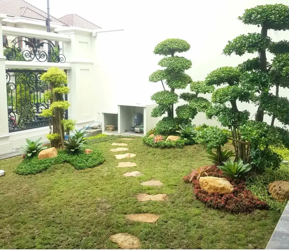 Jasa taman minimalis taman rumput..