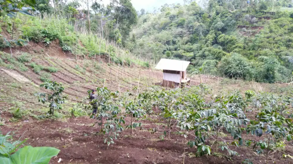 Lahan Pertanian Produktif.