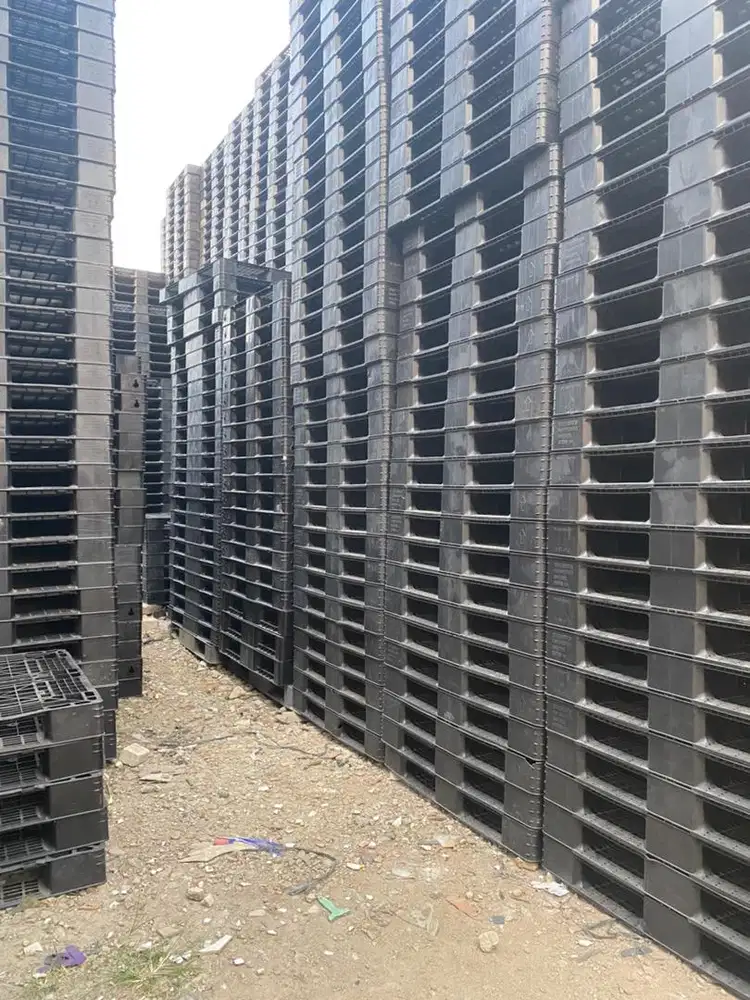 Palet plastik beks