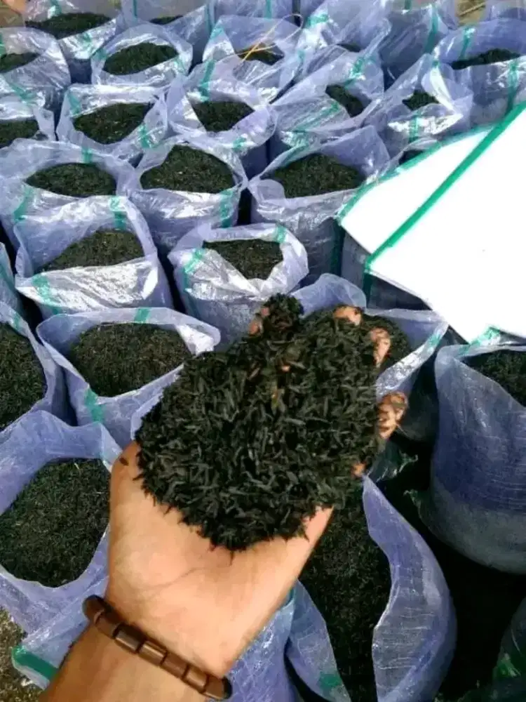 ARANG SEKAM/SEKAM BAKAR/SEKAM BAKAR KARUNGAN/ARANG SEKAM KARUNGAN