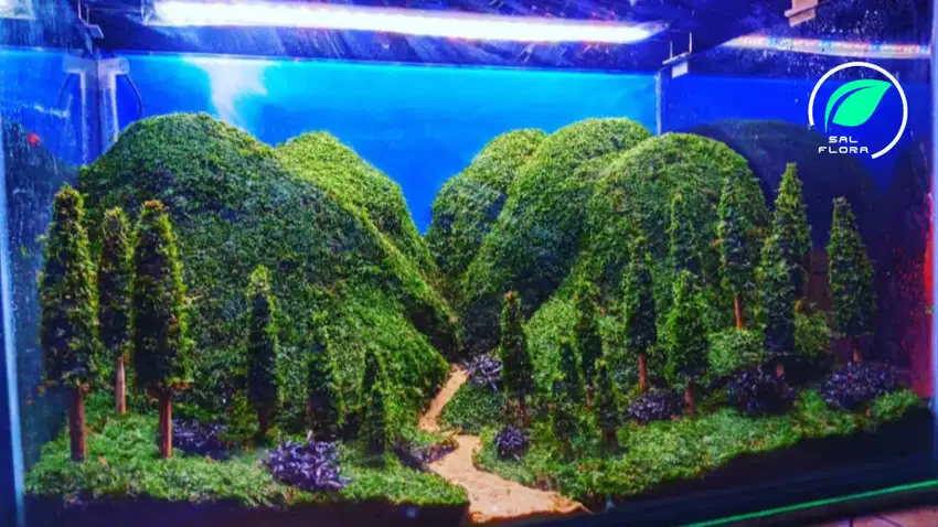 design aquascape natural tema akuarium hias