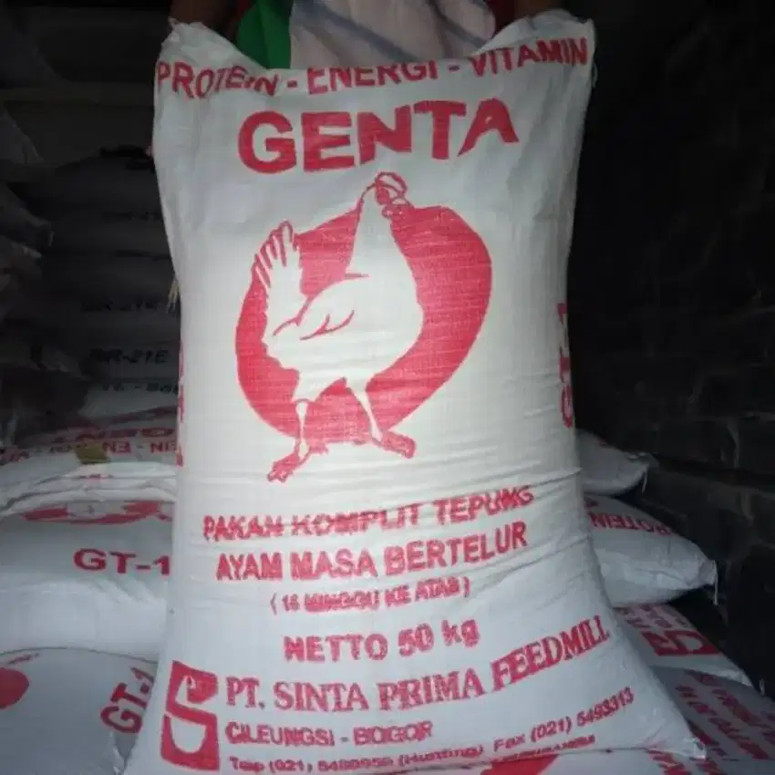 PUR AYAM PETELUR GT-1 PAKAN LAYER PETELUR GENTA 50KG SINTA TELOR GT 1