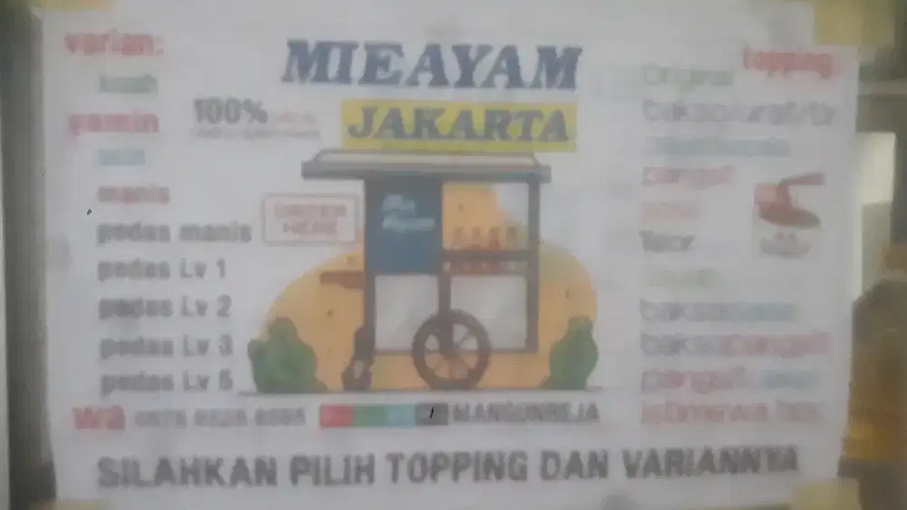 Penjual nasi goreng