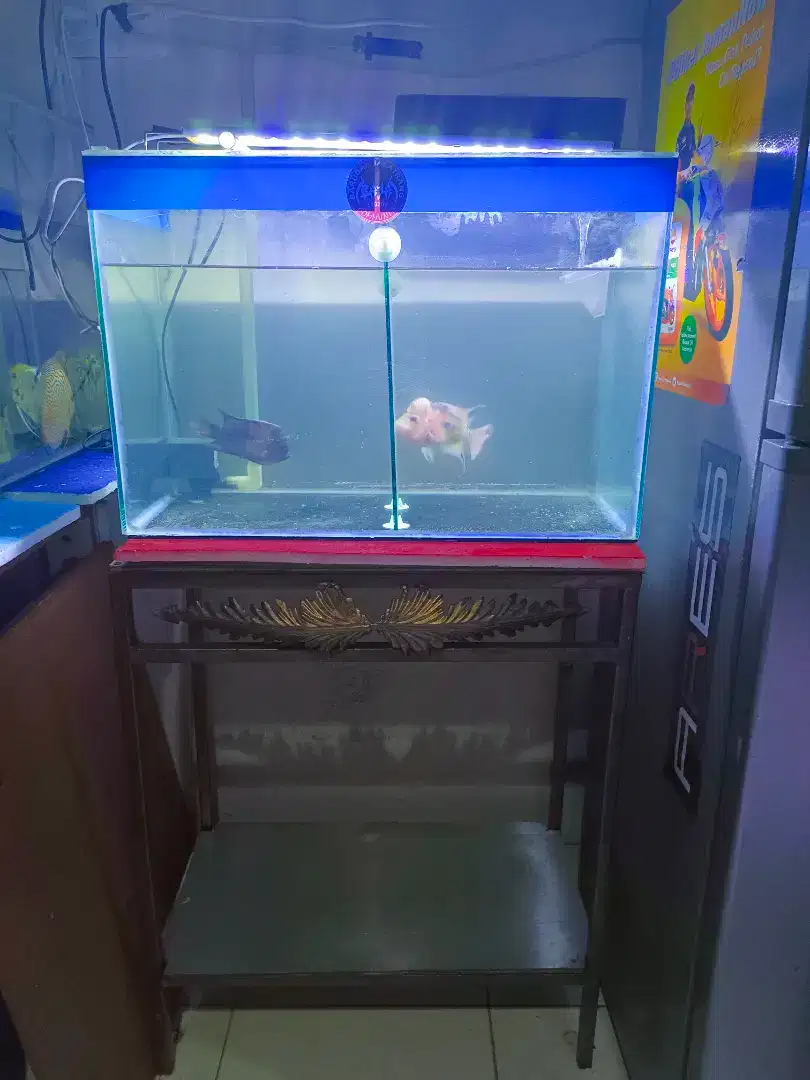 Dijual full set aquarium + rak ( tanpa ikan)