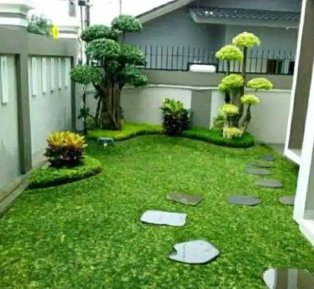 READY STOK RUMPUT GAJAH MINI SEKALIAN TANAM