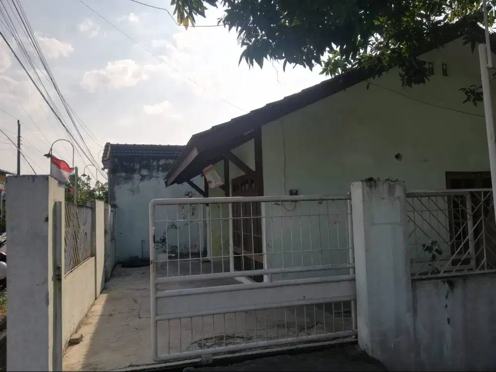 Rumah Dikontrakkan per Tahun
