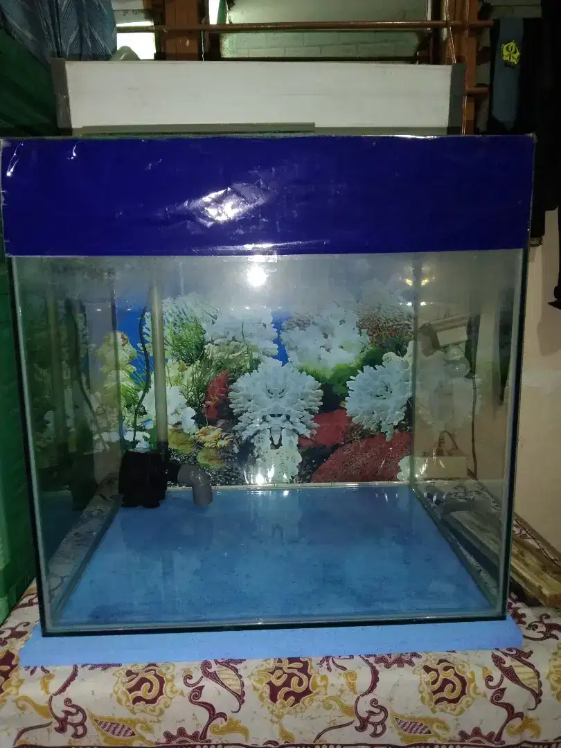 Aquarium kubus tinggi