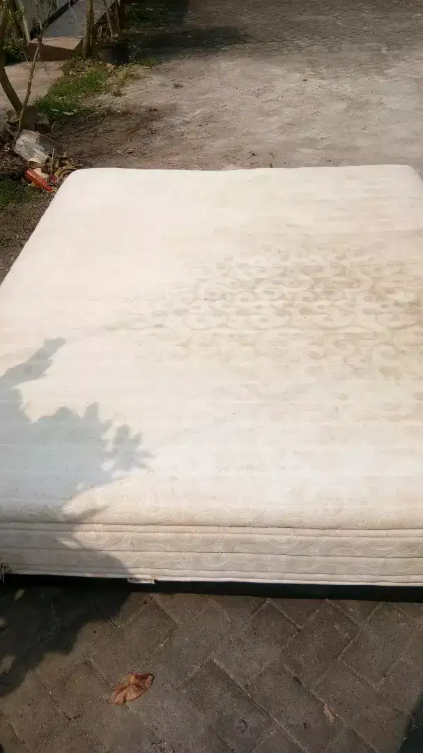 Cuci sofa springbed karpet