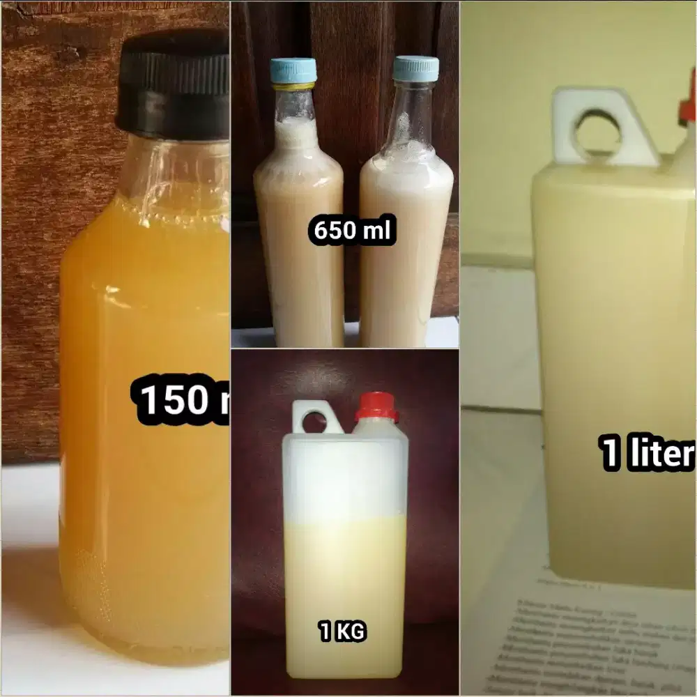 Madu Putih Royal Jelly (Bergaransi) Uji Dahulu Sebelum Membeli