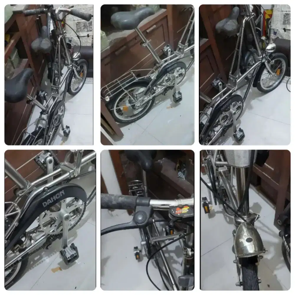 Dahon translite v online