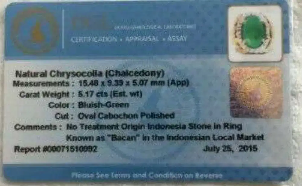 Bacan Palamea kinclong