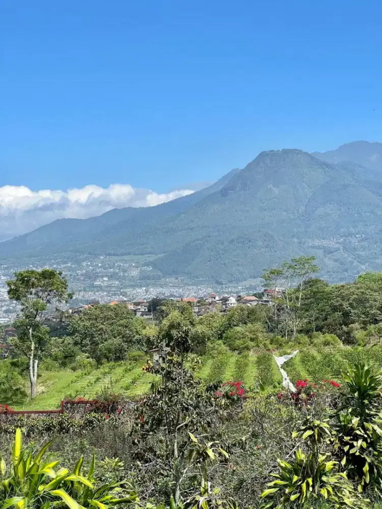 Tanah Murah Strategis , Cocok Untuk Bangun Villa Kebun , Harga Murah ...