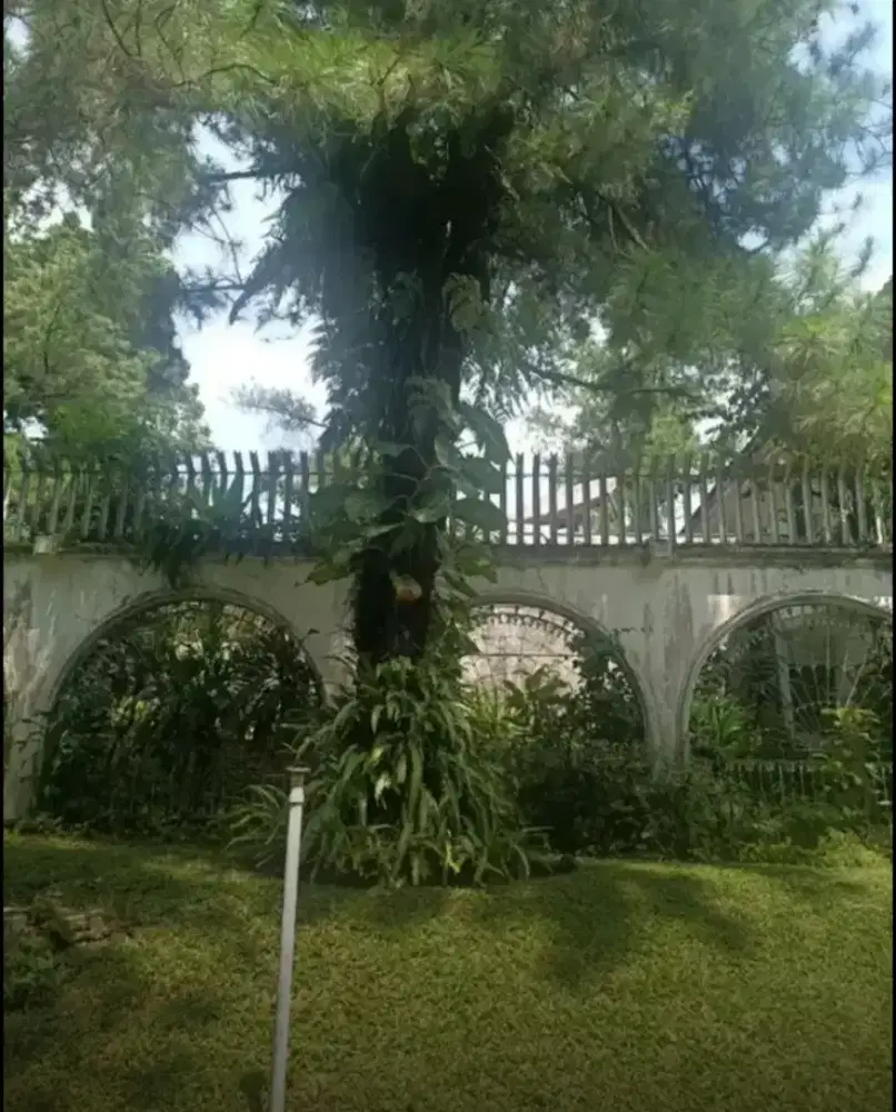 Sewa jual Jalan Utama Pajajaran Bogor Tengah lt2150