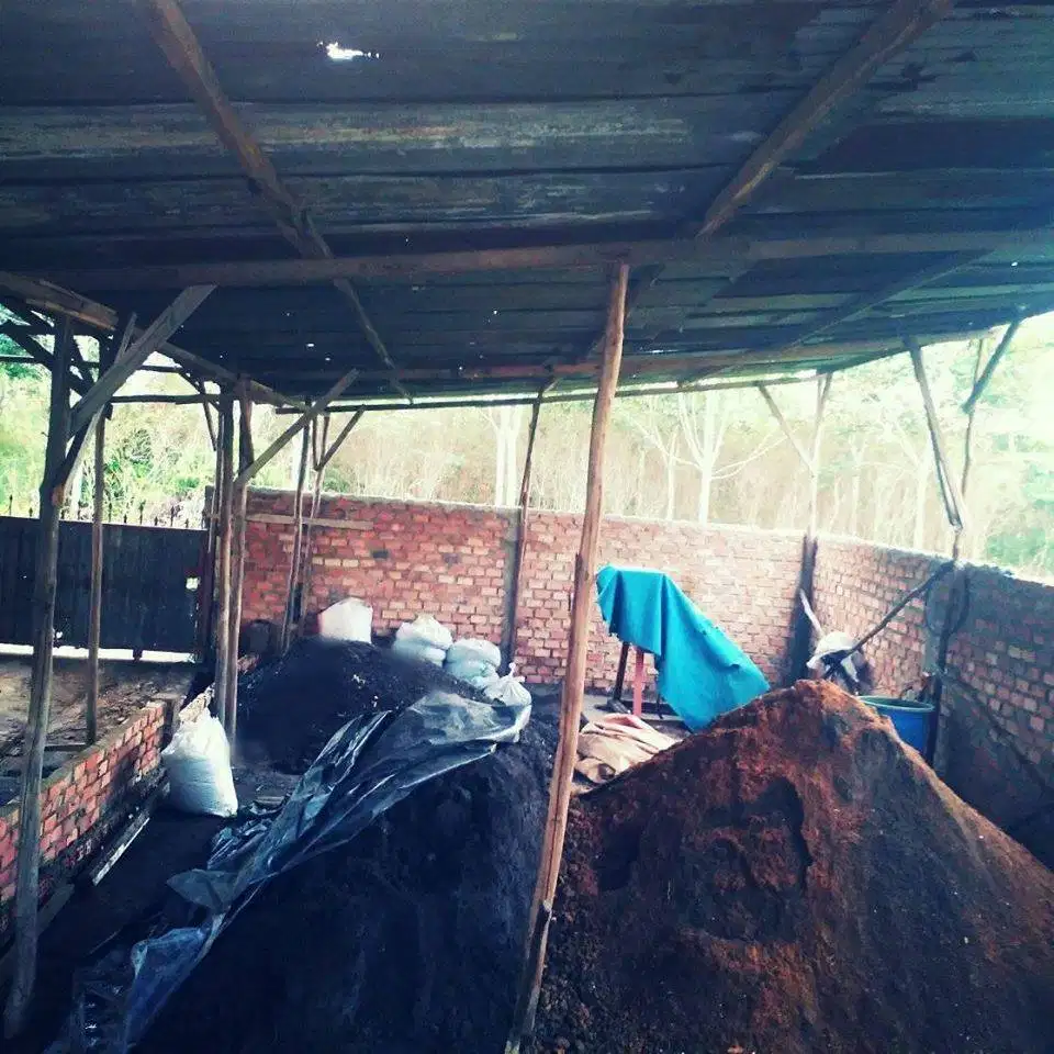 Kompos Sapi Kompos Sapi