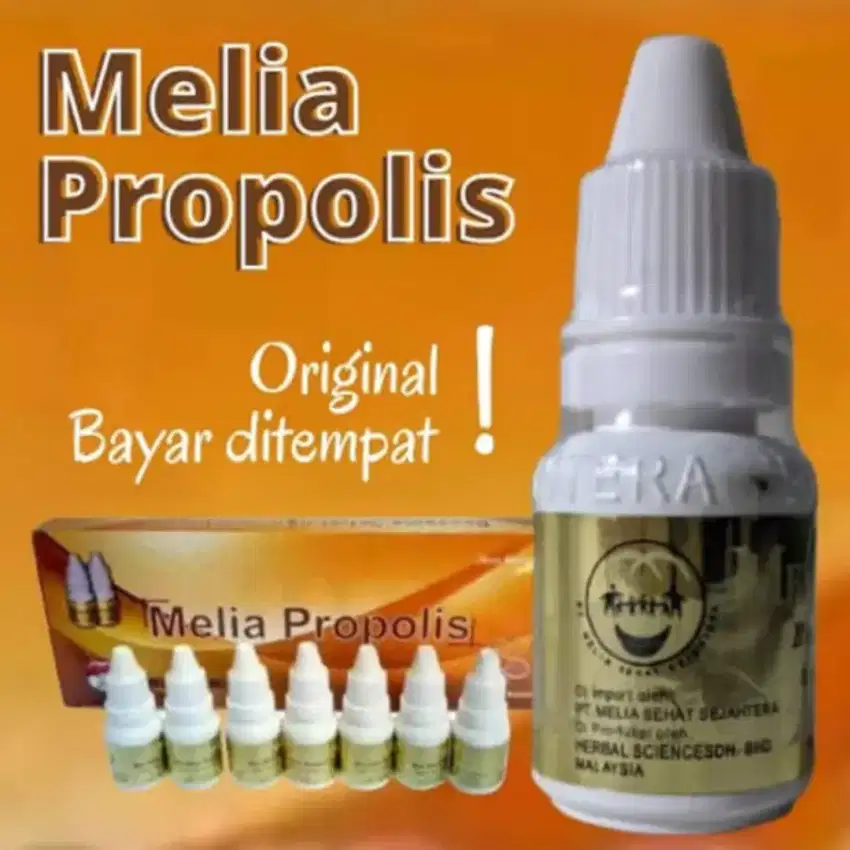 Propolis moerni