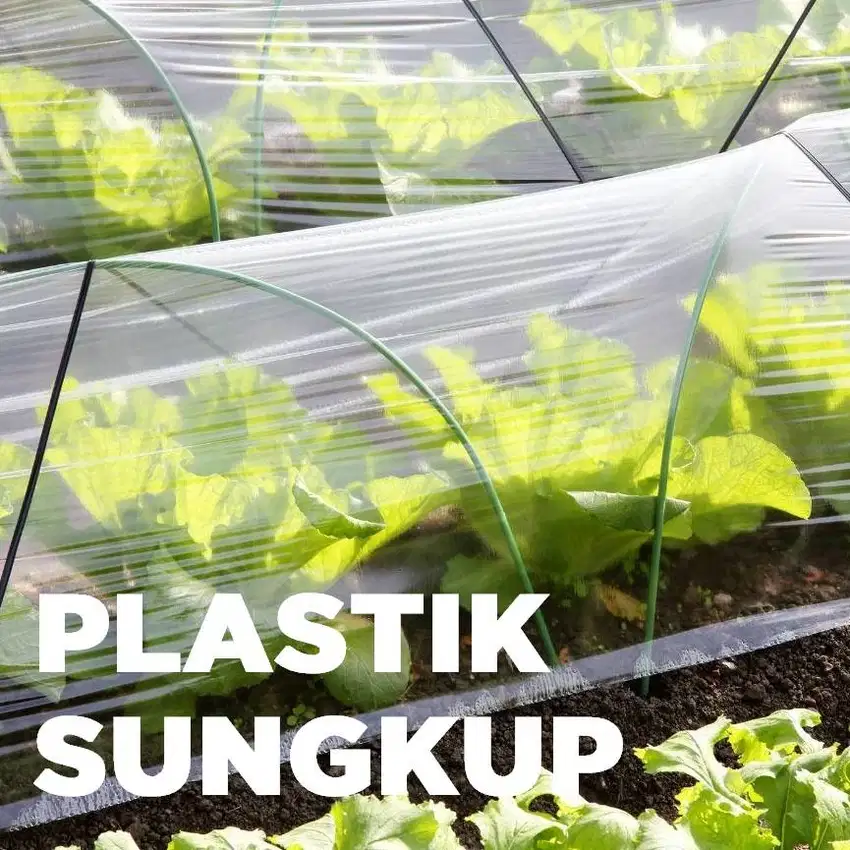 Plastik Sungkup Bening Untuk Pembibitan, Bahan PE Murni