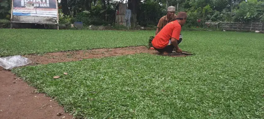 Tukan Tanam Rumput toraja palopo masamba