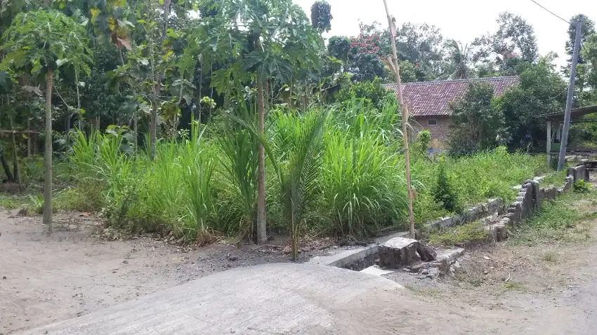 JUAL TANAH PURWOREJO SANANKULON BLITAR