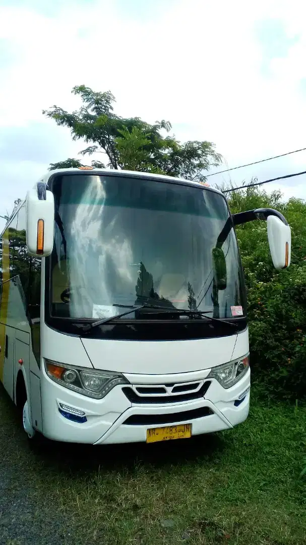 Jual Bus Mercy 917 VIP