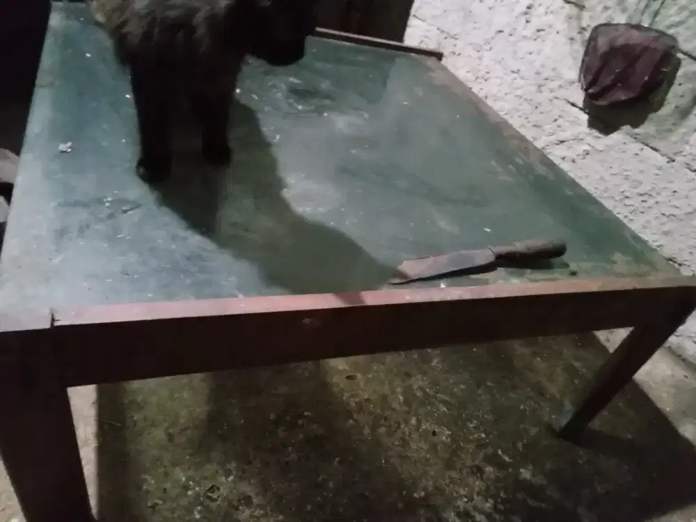 Meja Kaca Jati Model Meja Jepang