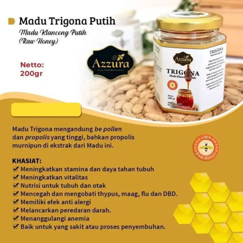 Madu Trigona Putih