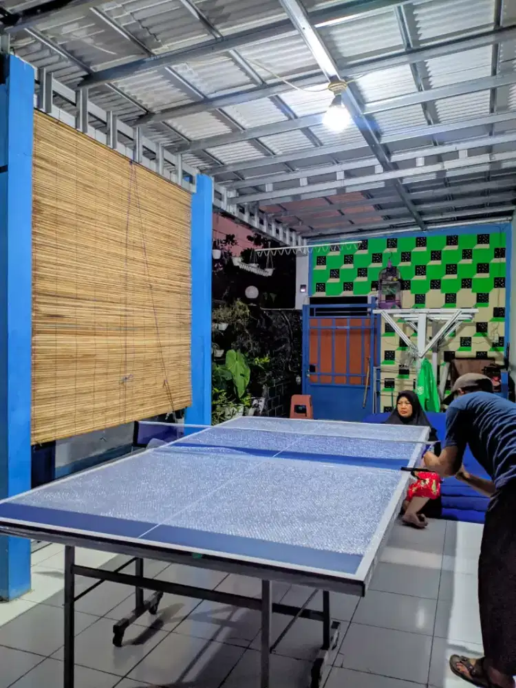 TENIS MEJA BUTTERFLY TERBAIK