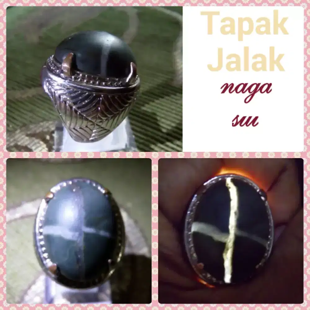 Tapak jalak Naga sui