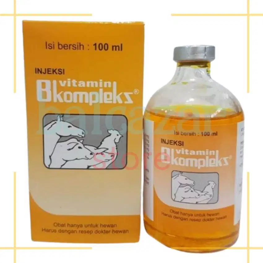 injeksi vitamin B Komplex Kompleks Suntik Hewan Kelinci Sapi Kambing