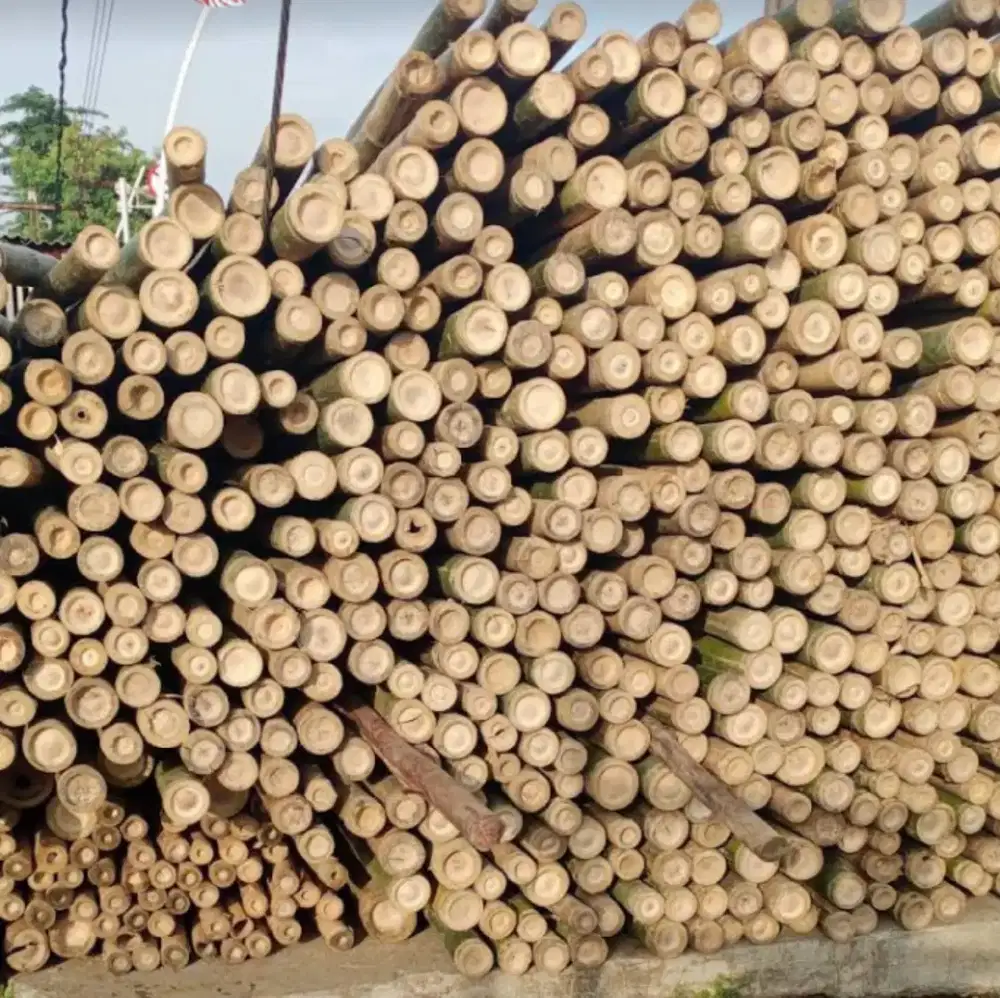 Jual Dolken lokal,bambu,kaso dll