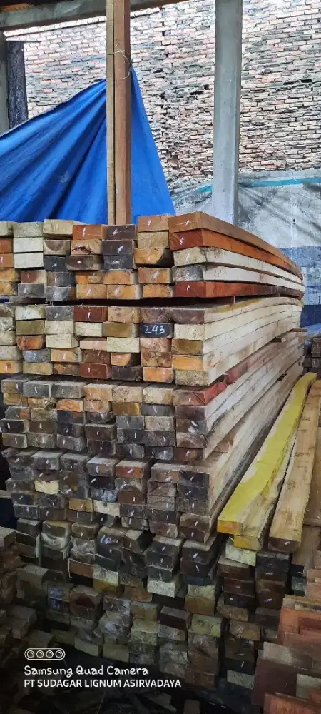 Kayu borneo 5x10x400
