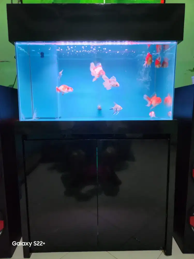 Aquarium kabinet fullset 80x40x40 filter bwh sdh runing tinggal pake