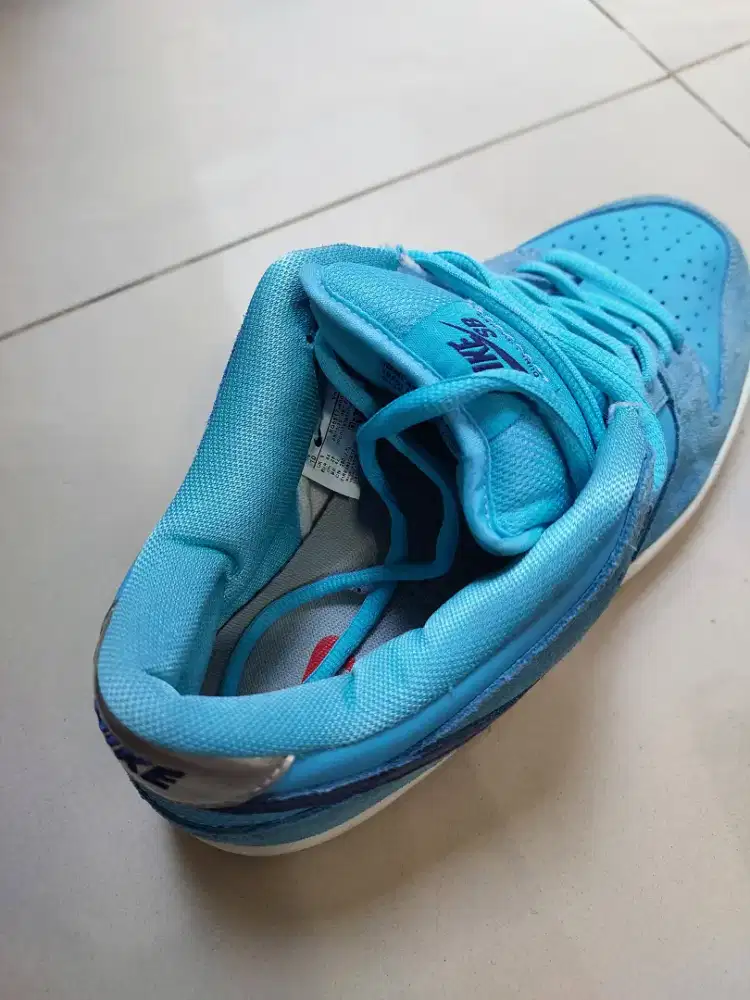 NIKE SB DUNK LOW PRO